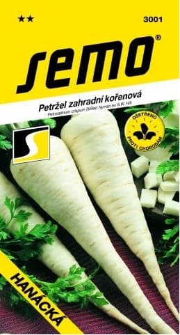 SEMO Petržel kořenová - HANÁCKÁ pozdní