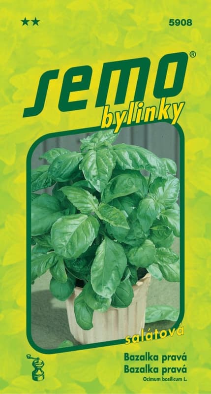 SEMO Basil LETTUCE LEAF salad