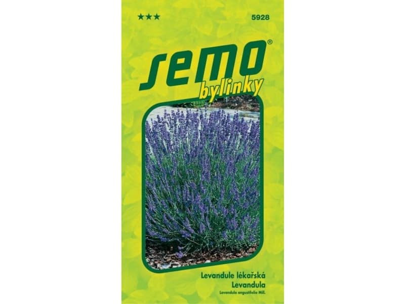 SEMO Levandule lékařská