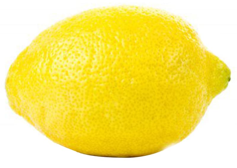 Lemon variety Primofiori 1pc