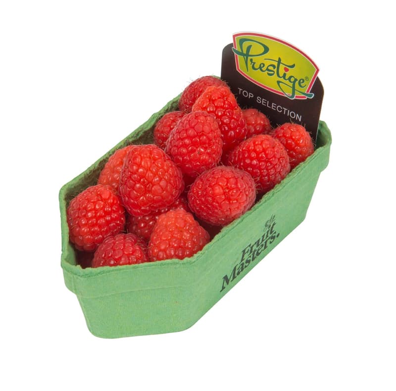 Maliny Premium – velké plody (zn. Prestige), vanička