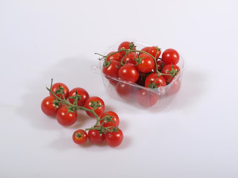BIO Cherry round tomatoes, tray