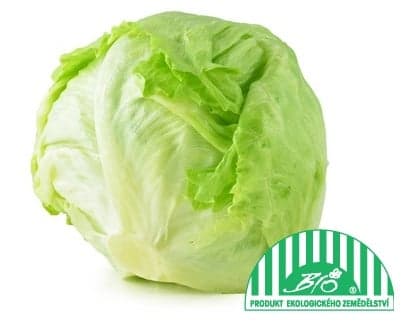 BIO Iceberg lettuce 1 pc (cca 350g)