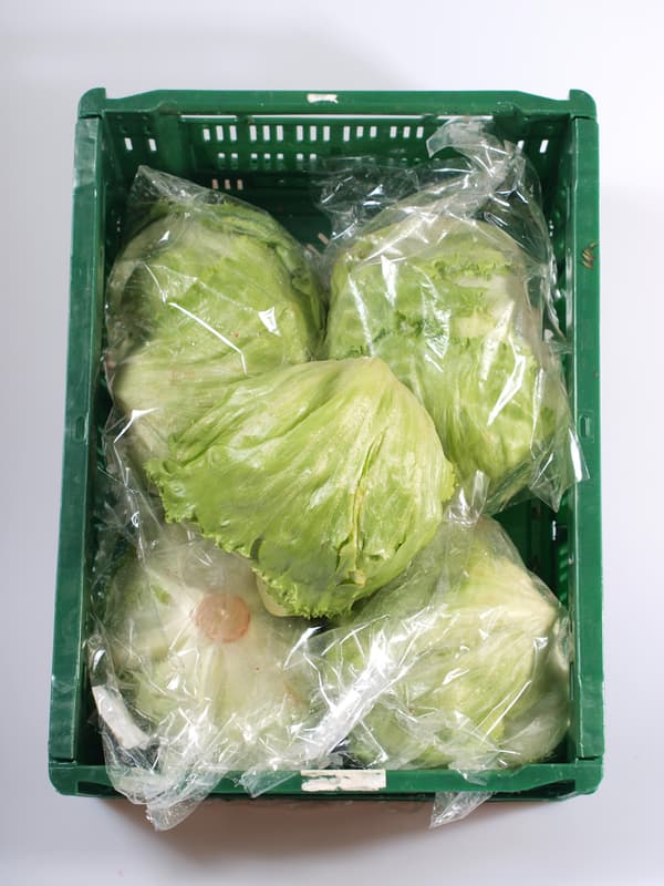 BIO Iceberg lettuce 1 pc (cca 350g)