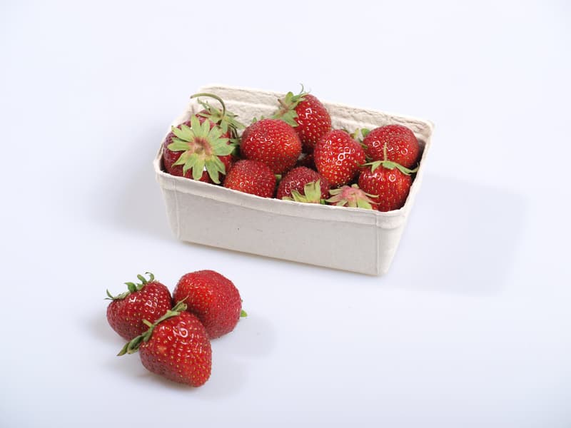 BIO Strawberries, tray