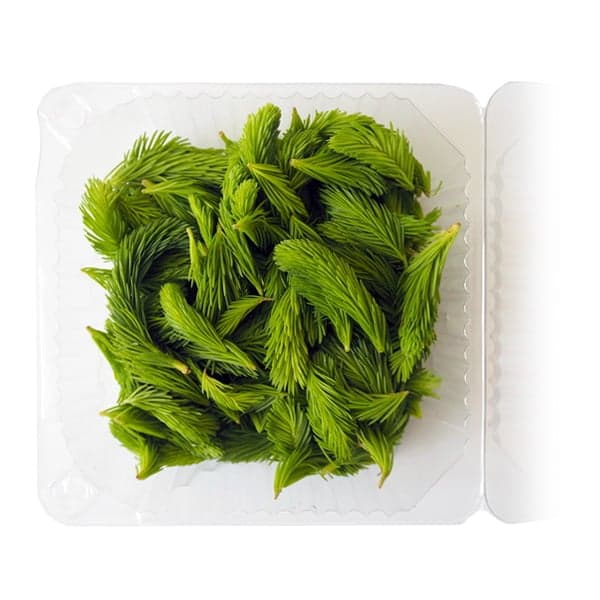 Young spruce shoots, package