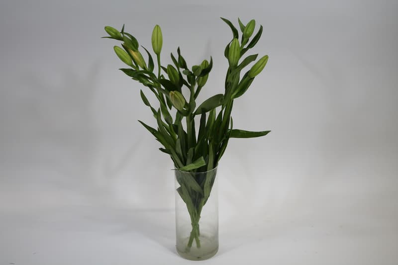 Lilie - délka 40-50 cm, 3 ks