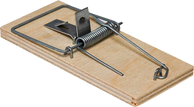 Mousetrap 1pc