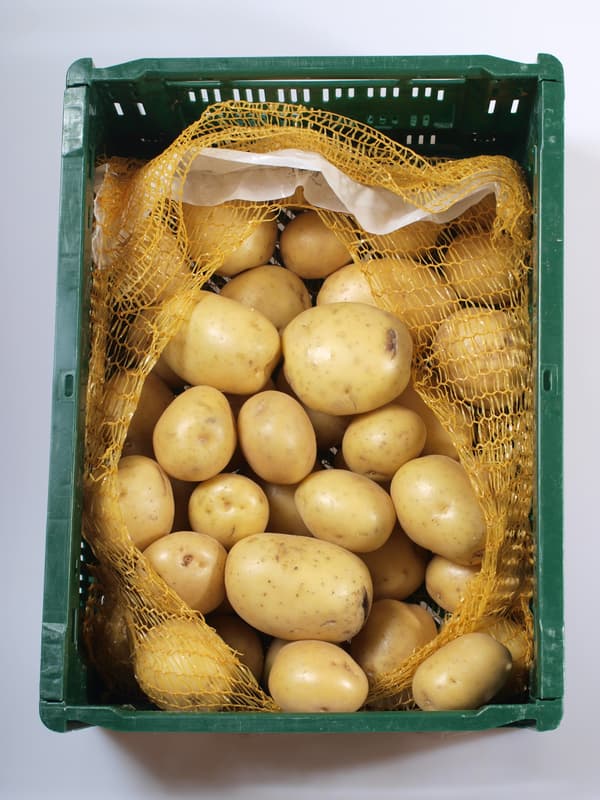 Potatoes ware late unwashed, packaging