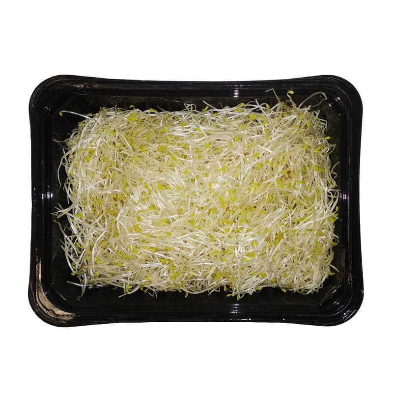 Alfalfa sprouts, tray