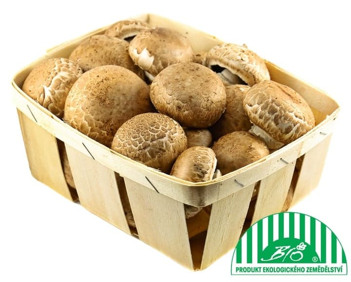 BIO Mushrooms brown (creamy), tray