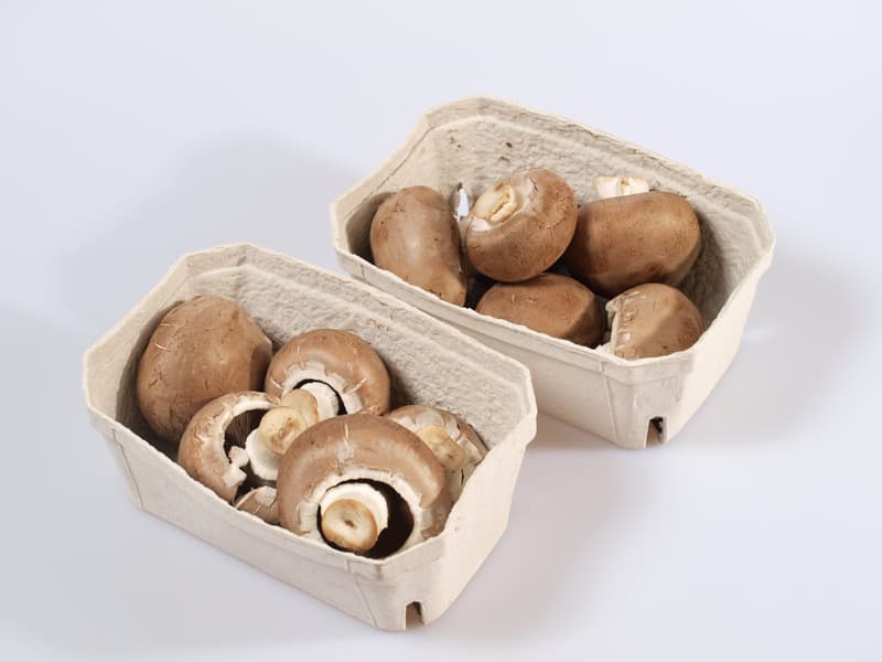 BIO Mushrooms brown (creamy), tray