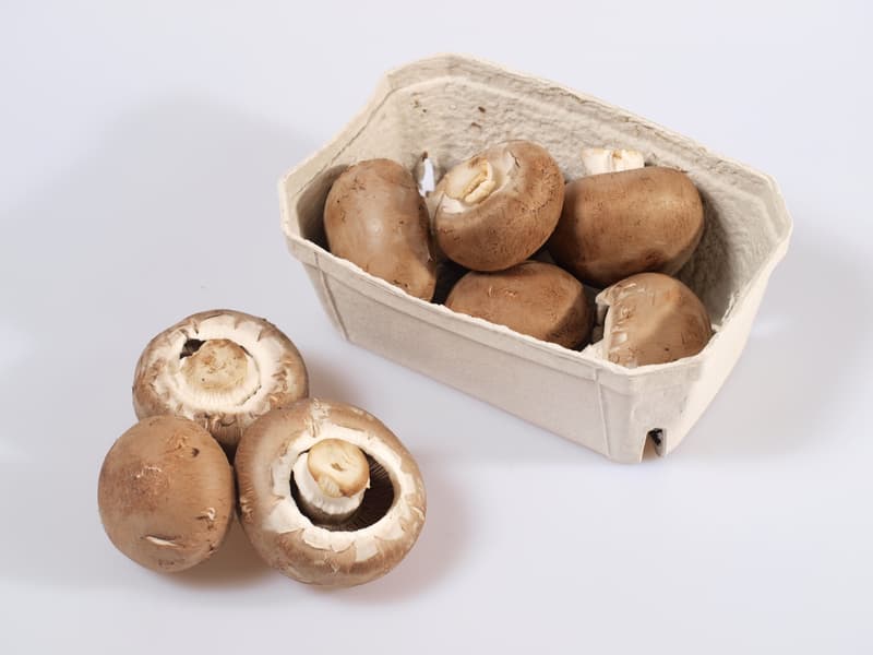 BIO Mushrooms brown (creamy), tray