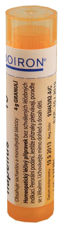ACONITUM NAPELLUS 15CH granule 1X4G