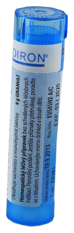 RHUS TOXICODENDRON 9CH granule 1x4G