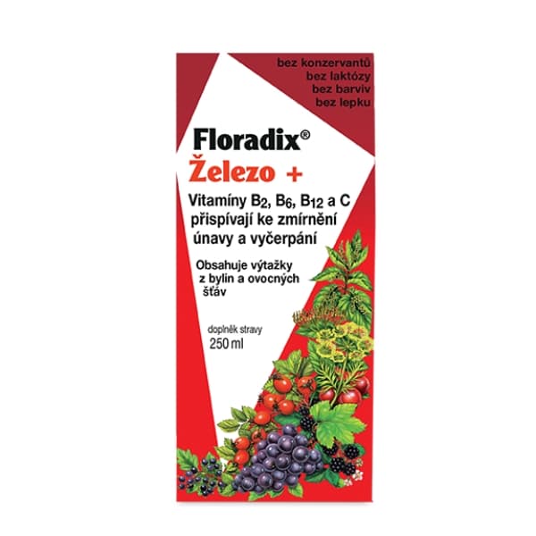 SALUS Floradix 250ml