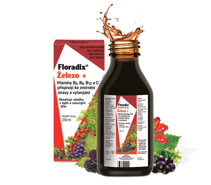 SALUS Floradix 250ml