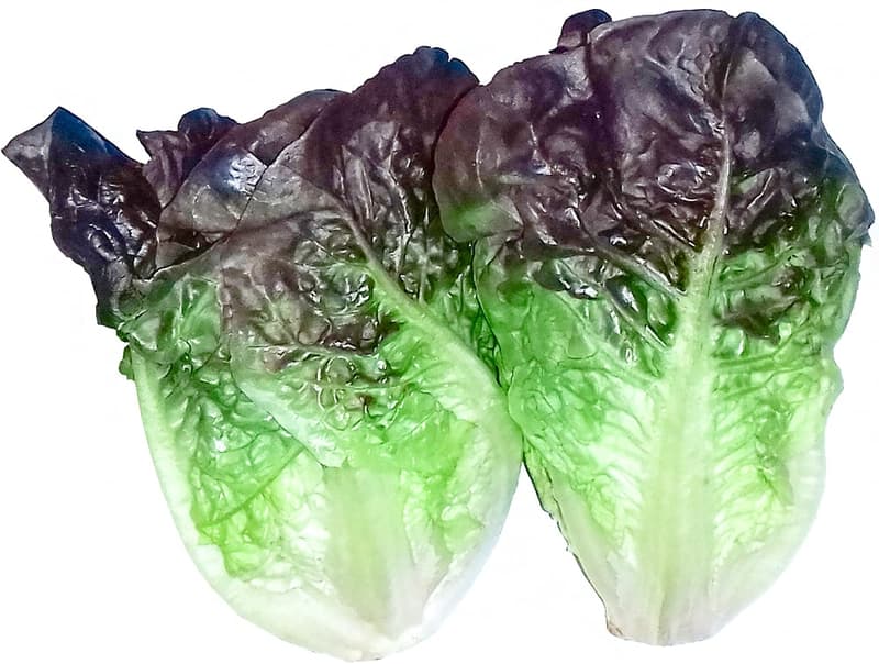 Little gem red salad, sachet (2 x approx. 150g)