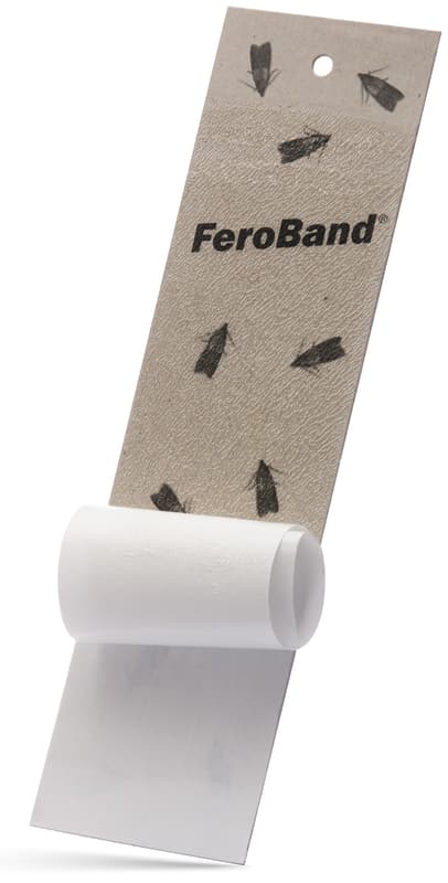 FeroBand feromonový lepový pás na monitoring potravinových molů