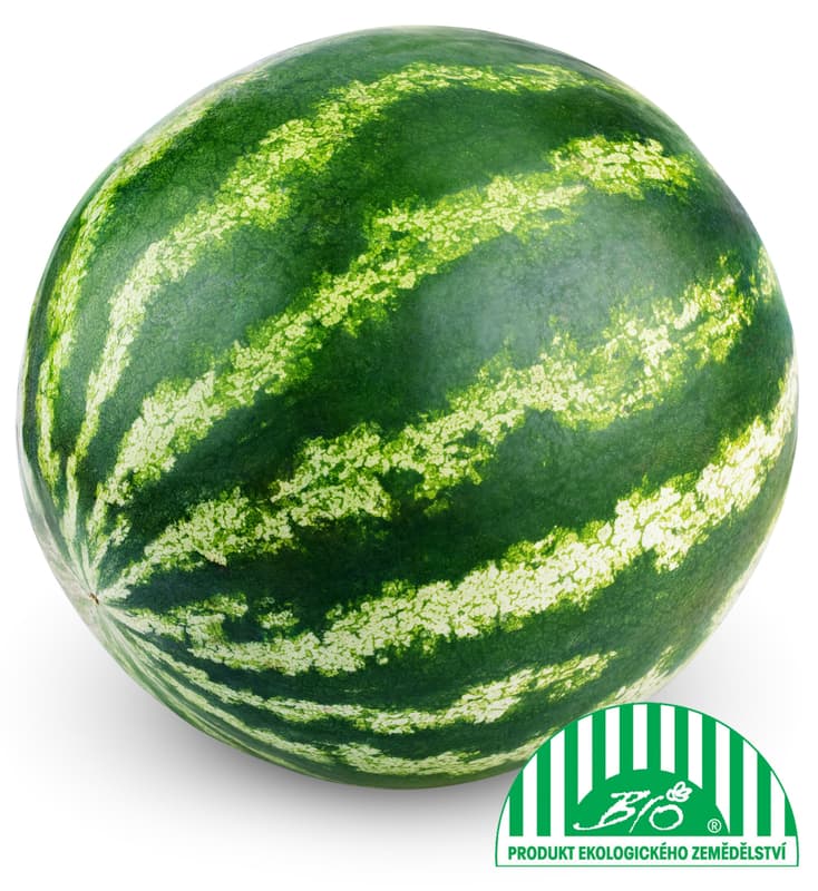 BIO Meloun vodní 1 ks