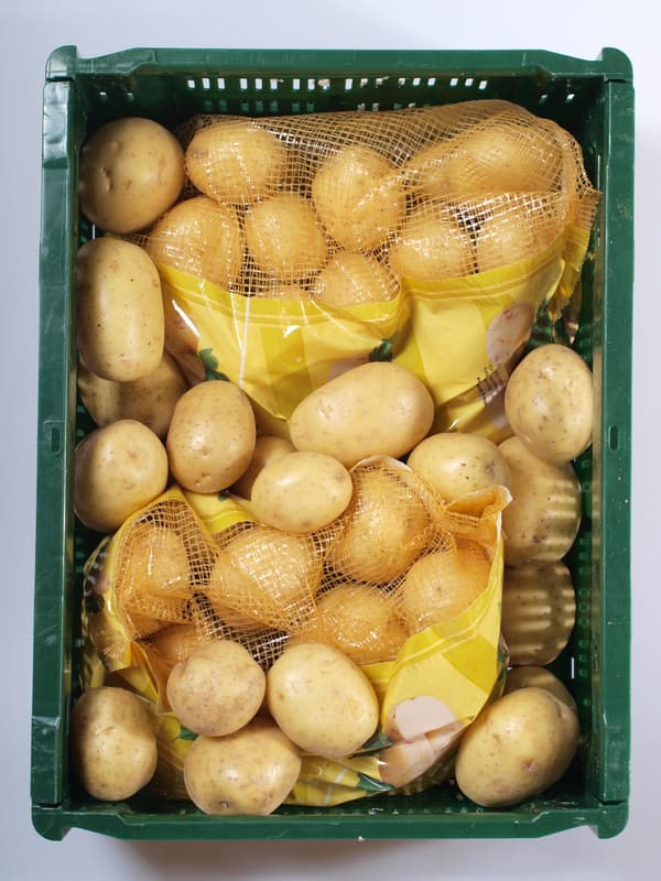 Early potatoes, packing