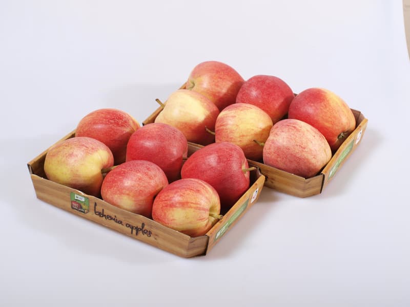 Apple Gala, pack 6pcs