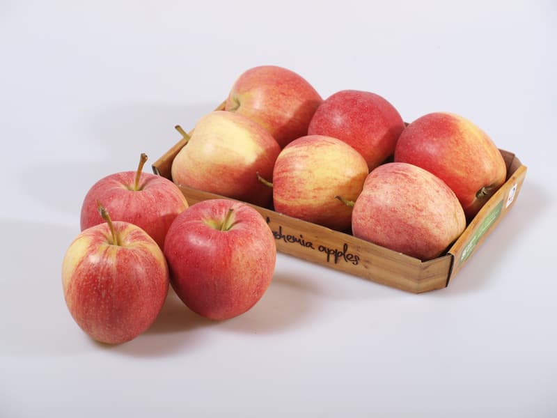 Apple Gala, pack 6pcs