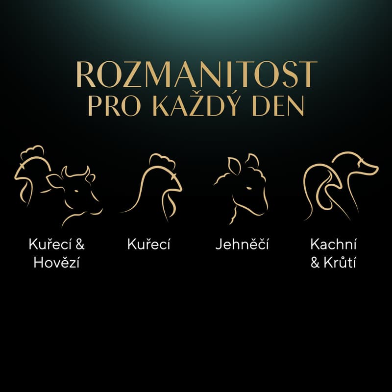 Sheba Kapsičky smíšený výběr ve šťávě pro dospělé kočky 12×85 g