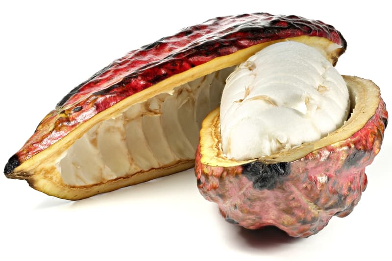 Čerstvý kakaový plod (cca 650 g)