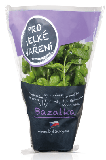 Bazalka v květináči XXL (Pro velké vaření)