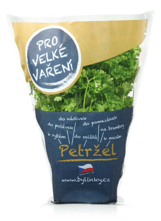 Petržel kudrnka v květináči XXL (Pro velké vaření)