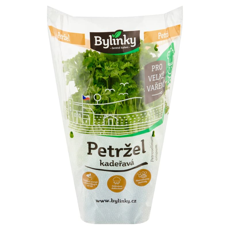 Petržel kudrnka v květináči XXL (Pro velké vaření)