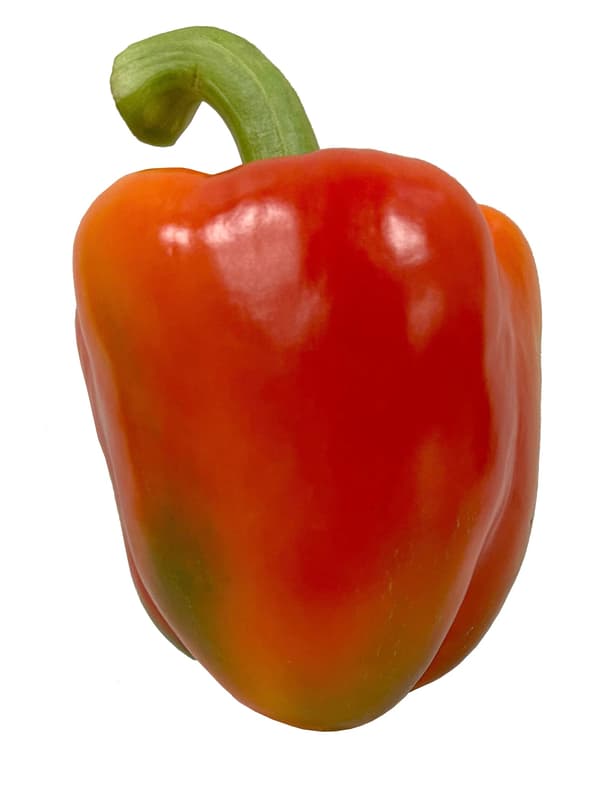Paprika červená 1 ks