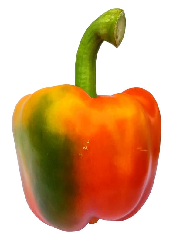 Paprika červená 1 ks