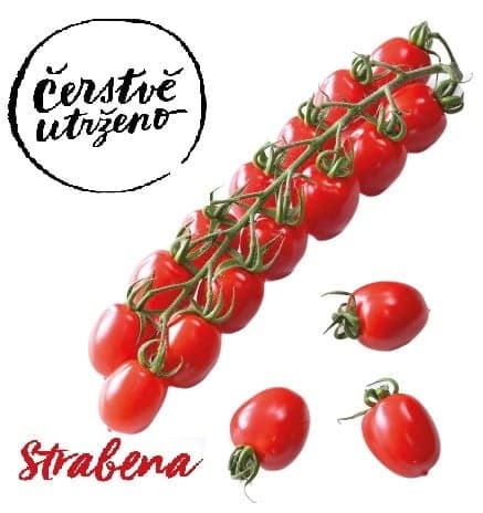 Freshly picked - Cherry tomatoes on a twig variety Strabena, tassel
