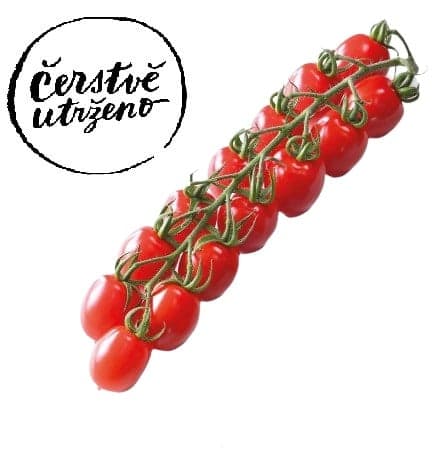 Freshly picked - Cherry tomatoes on a twig variety Strabena, tassel