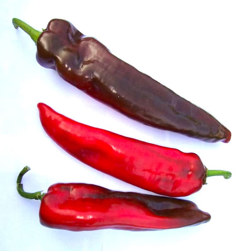 Paprika červená špičatá 1 ks