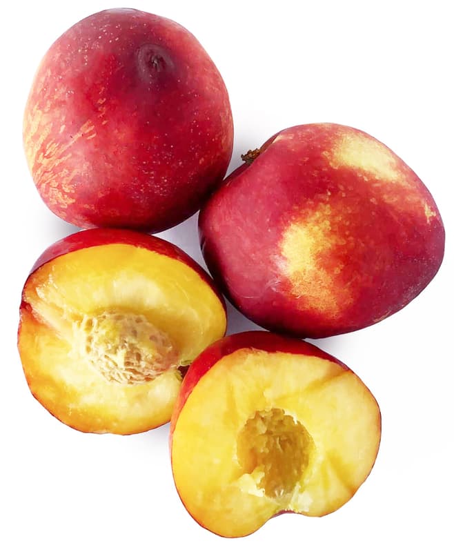 Nectarine yellow 1pc