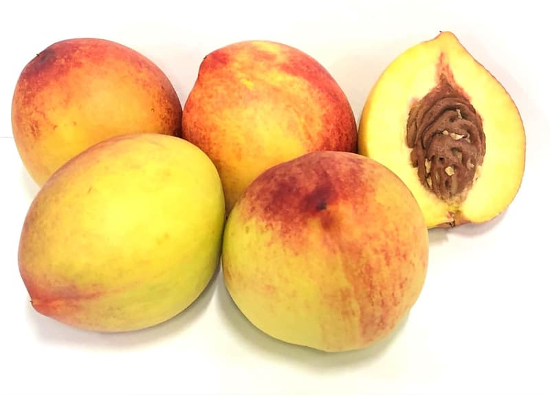 Nectarine yellow 1pc