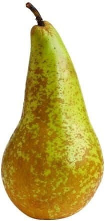 Green Pear (variety Lucas)