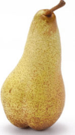 Hruška odr. Abate 1ks
