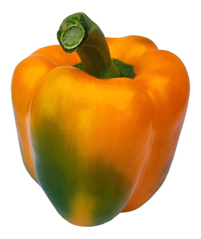 Paprika oranžová 1 ks