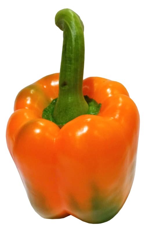 Paprika oranžová 1 ks