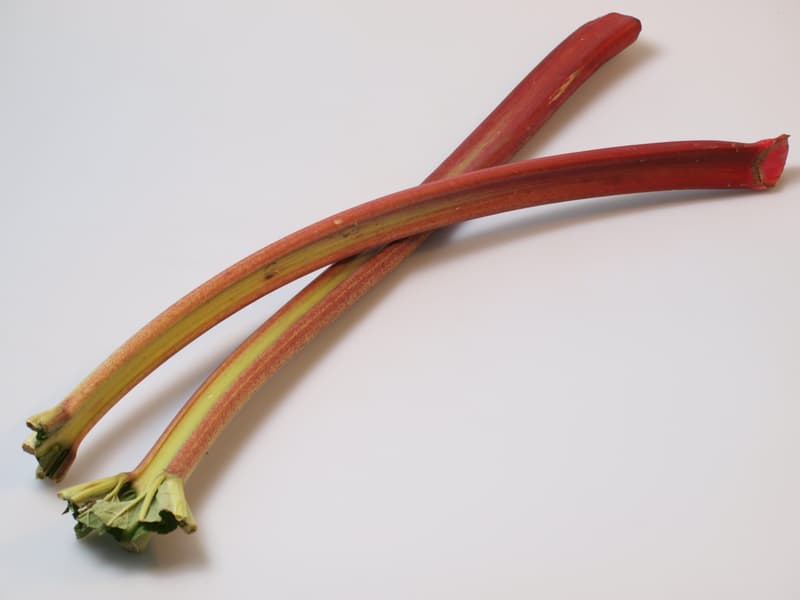 Rhubarb 1pc petiole