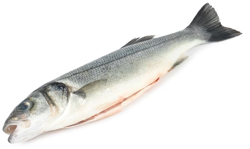 Fresh gutted seabass