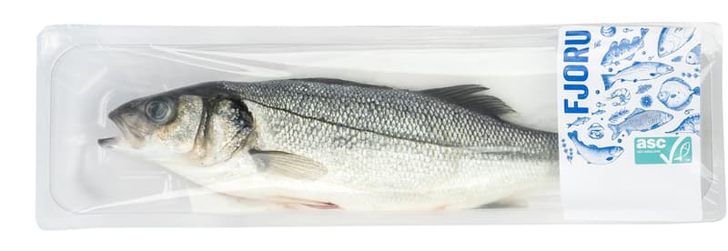 Fresh gutted seabass