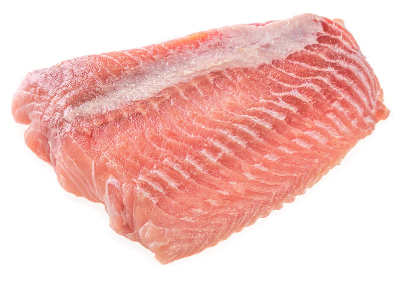 African catfish fillet