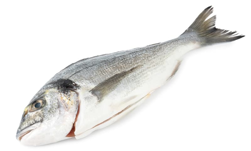 FJORU ASC Pražma královská kuchaná