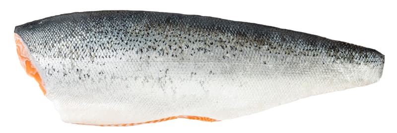 FJORU ASC Losos obecný filet s kůží FEEDING REVOLUTION