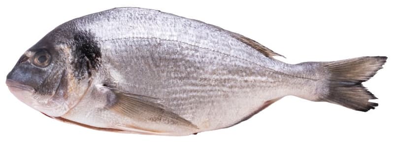 Sea bream whole